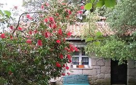 quinta victoria